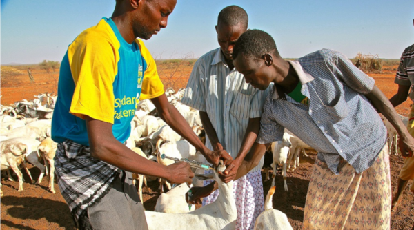 Somalia. La fattoria di Sanbur è ripartita