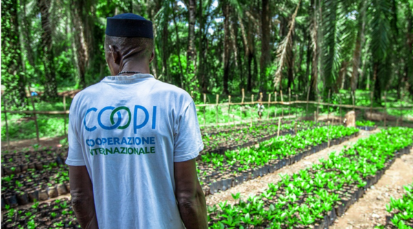 Sierra Leone. Face2Hearts vloggers visit our Cashew project
