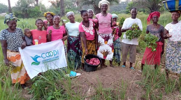 Sierra Leone. COOPI promotes orange flesh sweet potato to fight malnutrition