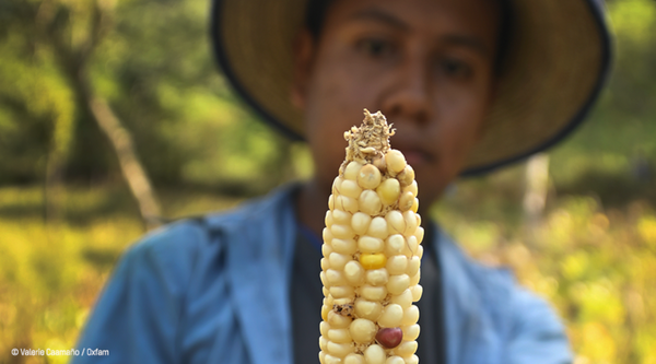 Centroamérica. Sequías y Covid-19 empeoran la crisis alimentaria