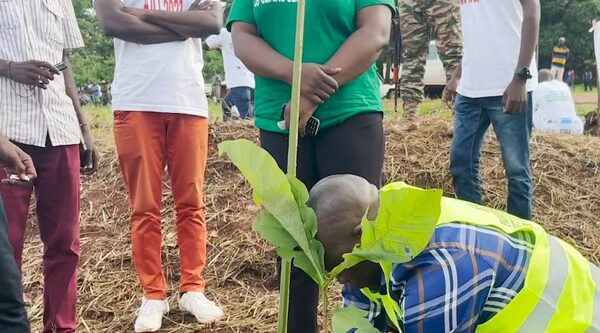 République centrafricaine. Les jeunes sauvent la forêt
