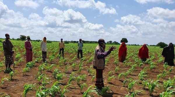 Somalia. Credito e gestione comunitaria delle risorse per aumentare la resilienza climatica