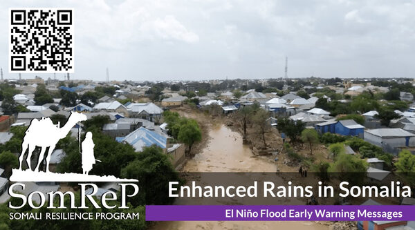 Somalia. Il consorzio di ONG SomReP affronta l'impatto di precipitazioni senza precedenti