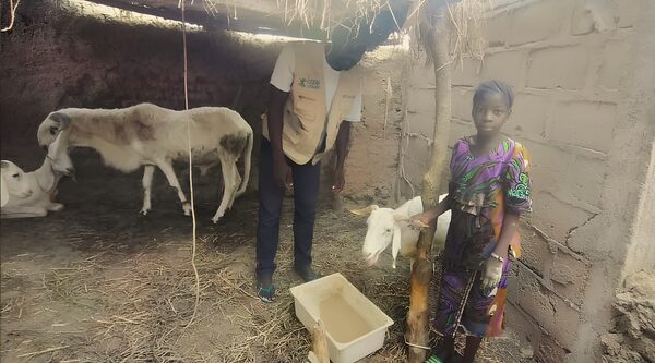 Mali. Un projet d'avenir pour les enfants et les adolescents les plus touchés par la crise