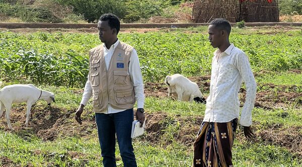 Dalla siccità all’abbondanza: i canali solari della Somalia