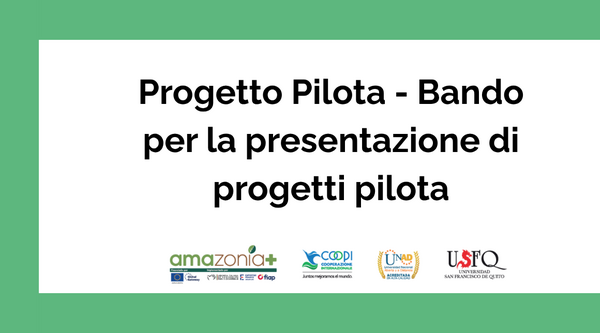 Convocatoria para proyectos piloto en la prevención de incendios y la deforestación. Programa Amazonia+