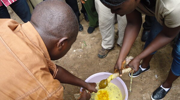 Sierra Leone, beekeeping training