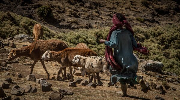 Etiopia: nuove opportunità economiche