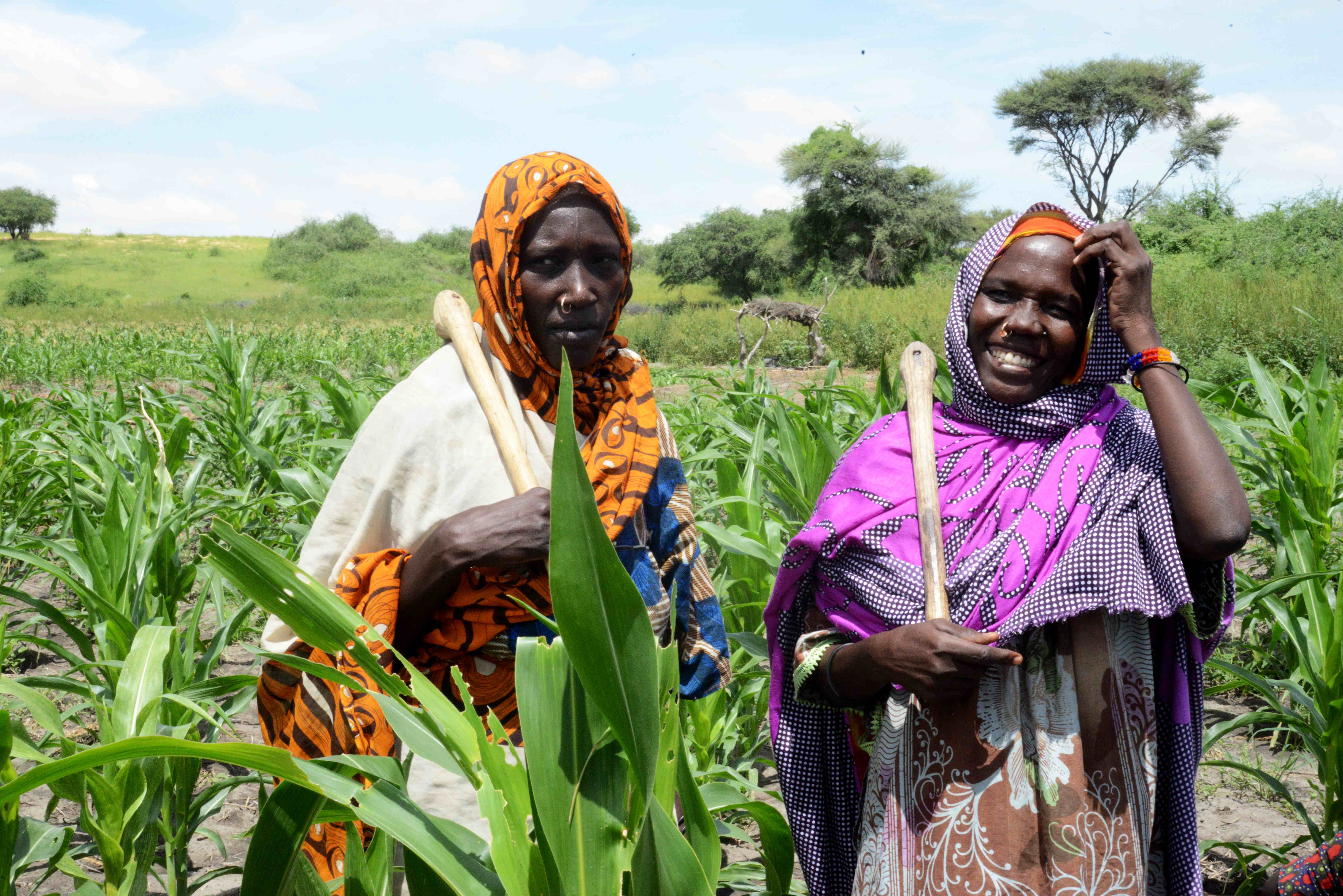 More livelihood in Lake Chad | COOPI