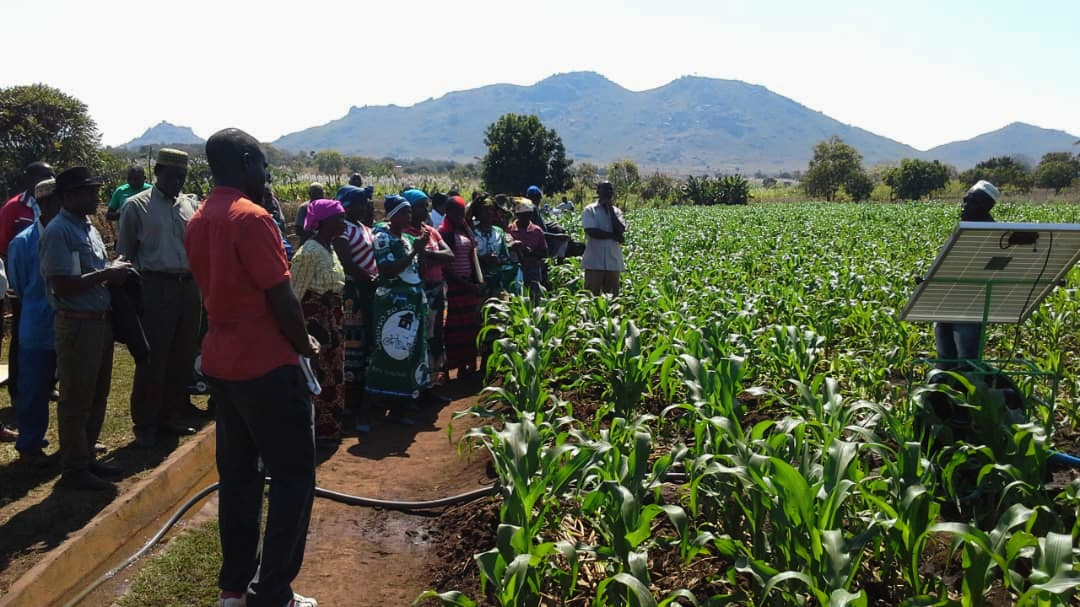 Malawi irrigated agriculture ensures food security in Katuli COOPI