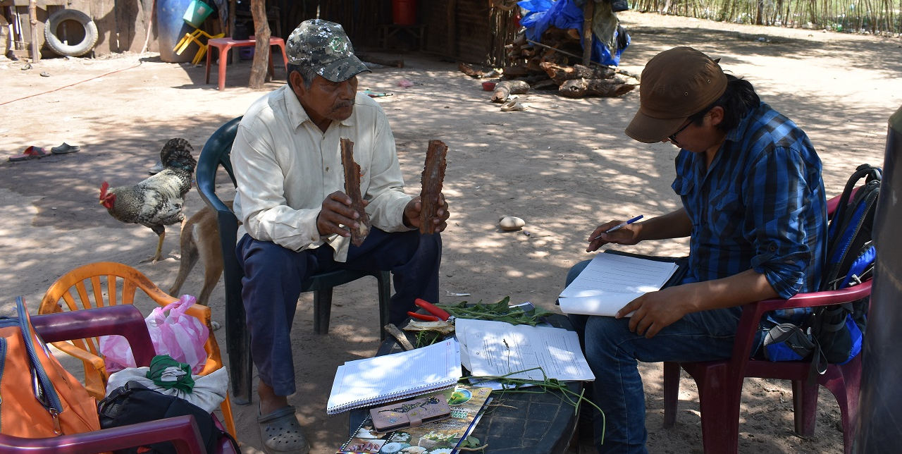 Gran Chaco the first botanical encyclopaedia on indigenous