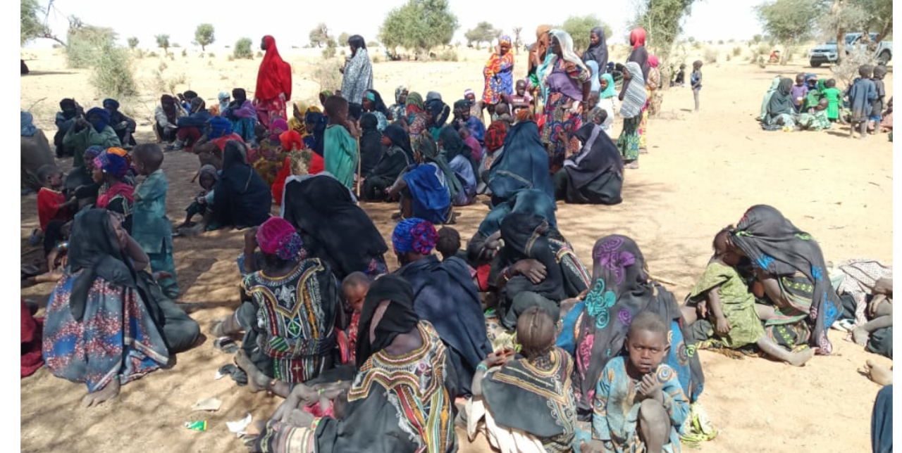 Niger, Tillabery: mobile clinics to treat malnutrition in the IDPs ...