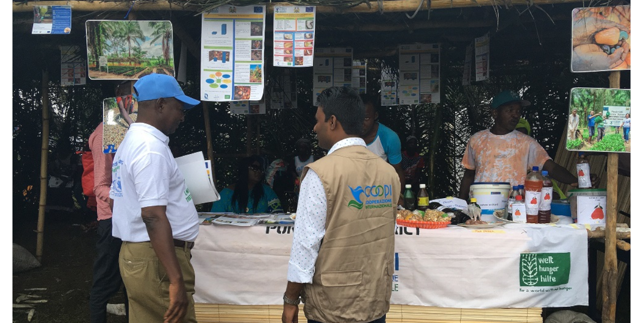 World Food Day. Cashew in Sierra Leone | COOPI