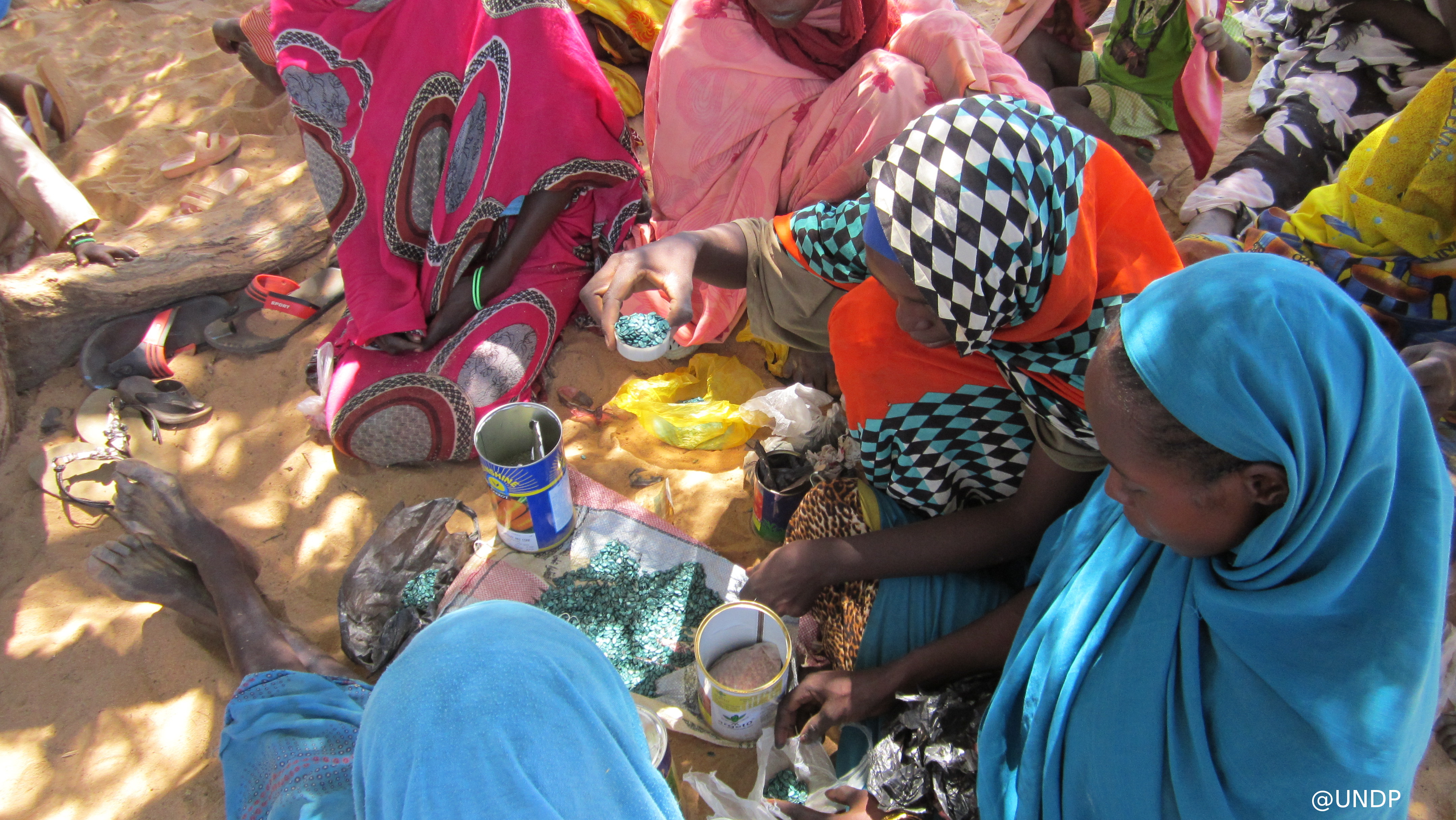 Supporting Women Headed Households In Sudan Coopi